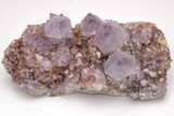 Cactus Quartz (Amethyst) Crystal Cluster - Huge Crystals! #206119-4